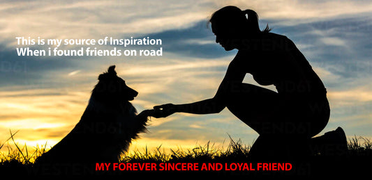 From Fear to Friendship - My Journey with Stray Friends